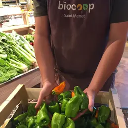 localpoivronmarseillaisbiolegumeprovenceannabellemossanallauchbiocoopsaintmenetmarseille130111.webp